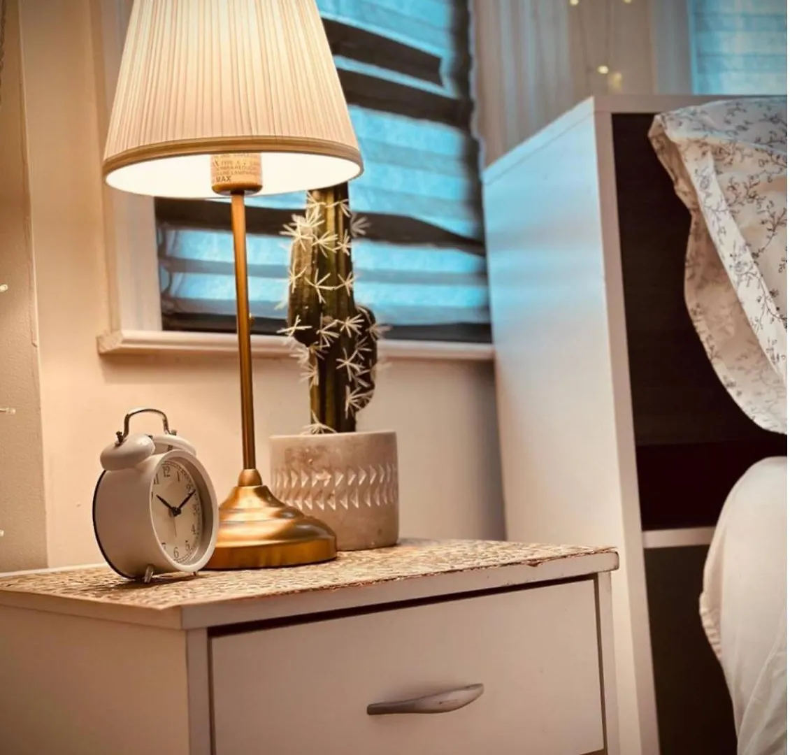 Campsite Serenity Room Jfk New York